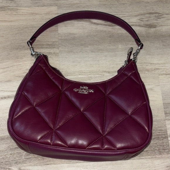 Teri Hobo Bag With Puffy Diamond Quilting - Picture 4 of 6